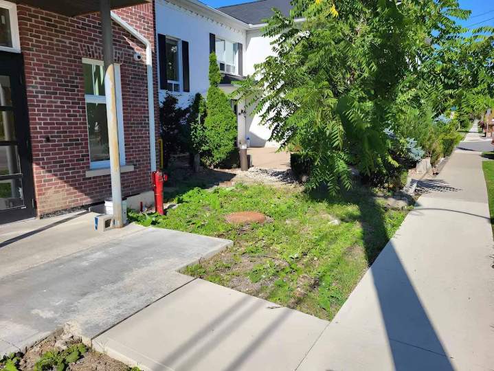 Garden  Services Tottenham