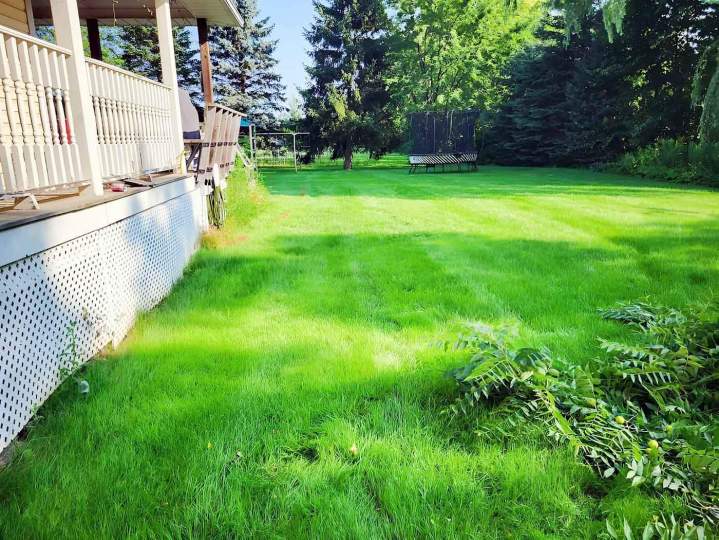 Landscaping Maintenance Tottenham