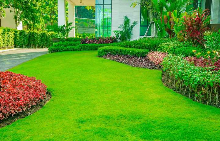 Gardening Services Tottenham