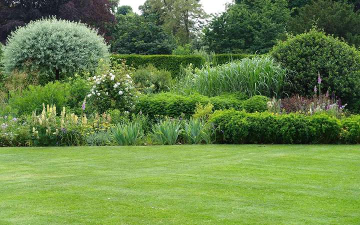 Gardening Services Tottenham