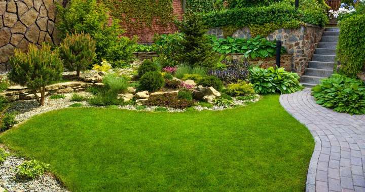 Landscaping Services Tottenham