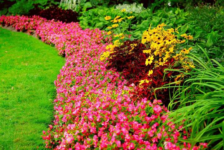 Garden Maintenance Tottenham