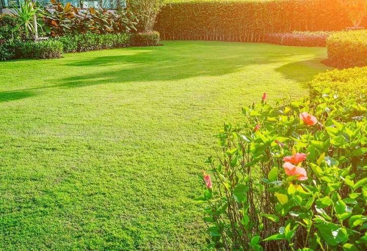 Landscaping Maintenance Tottenham
