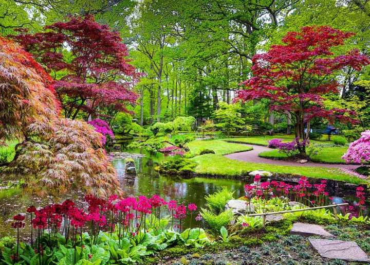 Landscaping Maintenance Tottenham