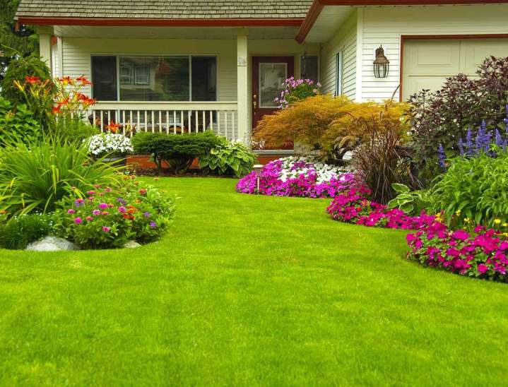 Gardening Services Tottenham